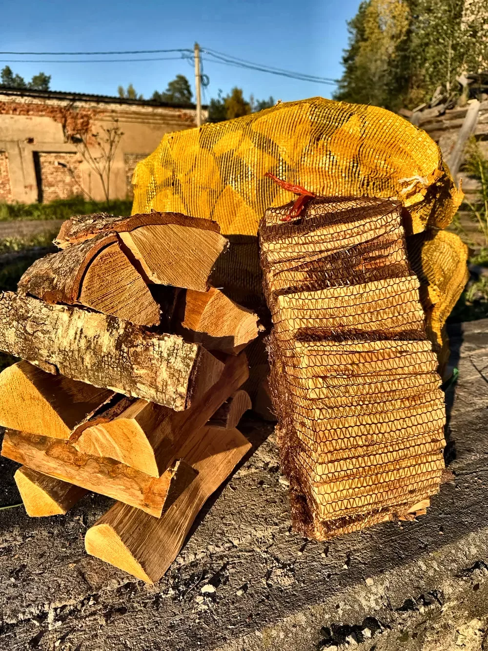 Какие дрова лучше для бани